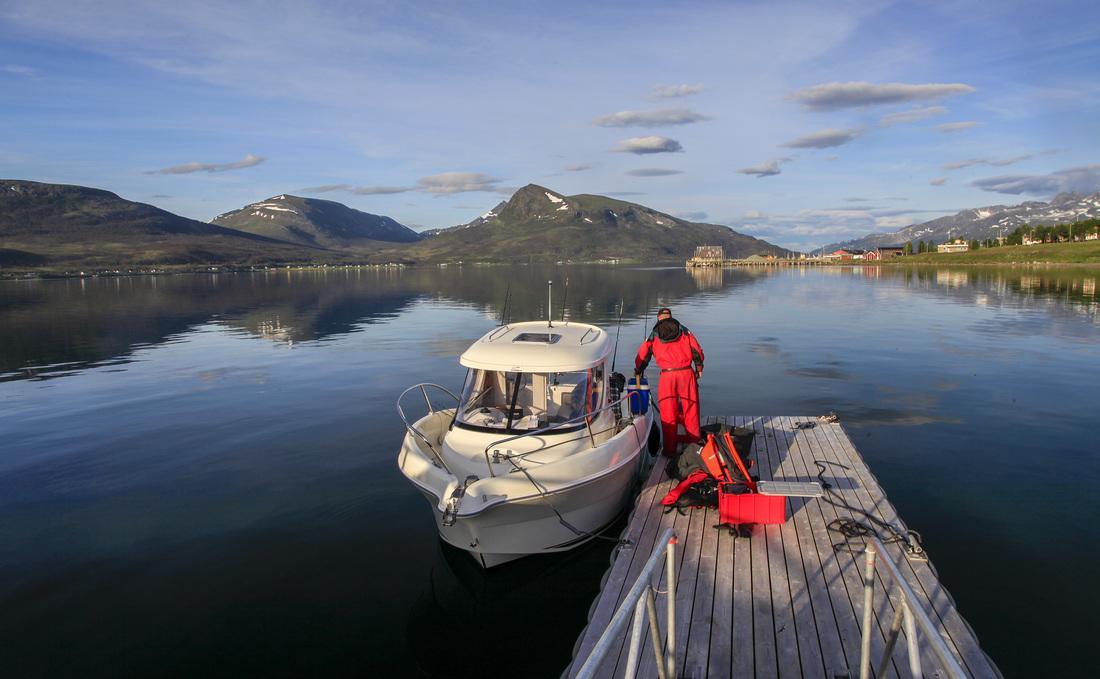 Hansnes Havfiske Bagian luar foto